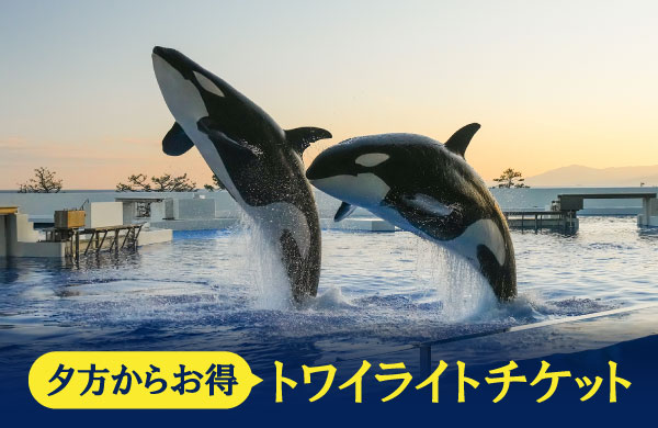 トワイライトチケット